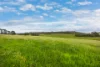 112 Burns Road, Paris Creek, SA 5201-Image