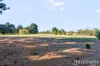 112 Forest Hill Road, Sandford, Tas 7020-Image