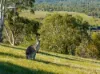 112 Lachlan Waters Road, Wyangala, NSW 2808-Image