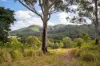 112 Pencil Creek Road, Obi Obi, Qld 4574-Image