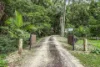 112 Pimble Valley Road, Crabbes Creek, NSW 2483-Image