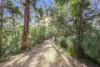 112 Pimble Valley Road, Crabbes Creek, NSW 2483-Image