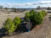 112 Tarrawingee Road, Mumbil, NSW 2820-Image