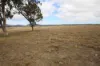 113B Bellevue Road, Tenterfield, NSW 2372-Image