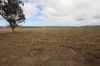 113B Bellevue Road, Tenterfield, NSW 2372-Image
