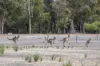 114 Sonning Loop, Yallingup, WA 6282-Image
