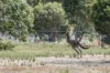 114 Sonning Loop, Yallingup, WA 6282-Image