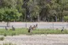 114 Sonning Loop, Yallingup, WA 6282-Image