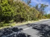 114 Sublime Point Road, Leura, NSW 2780-Image