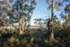 114 Sublime Point Road, Leura, NSW 2780-Image