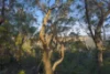 114 Sublime Point Road, Leura, NSW 2780-Image