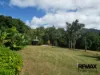 115 Alexander Drive, Mission Beach, Qld 4852-Image