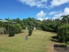 115 Alexander Drive, Mission Beach, Qld 4852-Image