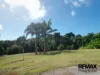 115 Alexander Drive, Mission Beach, Qld 4852-Image