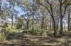 115 Dryandra Avenue, Yallingup, WA 6282-Image