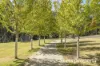 115 Millhouses Road, Longley, Tas 7150-Image