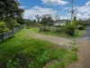 115 Montrose Road, Montrose, Tas 7010-Image