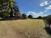 115 William St, Howard, Qld 4659