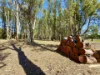 116 Old Bar Road, Old Bar, NSW 2430-Image