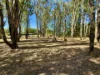 116 Old Bar Road, Old Bar, NSW 2430-Image
