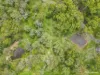1161 Tanby Road, Tanby, Qld 4703-Image