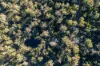 1167 Pelham Road, Hamilton, Tas 7140-Image