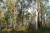 1167 Pelham Road, Hamilton, Tas 7140-Image