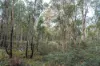 1167 Pelham Road, Hamilton, Tas 7140-Image