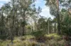 1167 Pelham Road, Hamilton, Tas 7140-Image