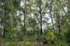 1167 Pelham Road, Hamilton, Tas 7140-Image