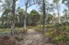 1167 Pelham Road, Hamilton, Tas 7140-Image