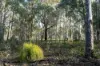 1167 Pelham Road, Hamilton, Tas 7140-Image