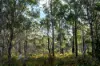 1167 Pelham Road, Hamilton, Tas 7140-Image