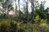 1167 Pelham Road, Hamilton, Tas 7140-Image