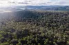 1167 Pelham Road, Hamilton, Tas 7140-Image