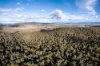 1167 Pelham Road, Hamilton, Tas 7140-Image