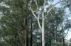 1167 Pelham Road, Hamilton, Tas 7140-Image