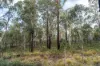 1167 Pelham Road, Hamilton, Tas 7140-Image