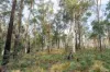 1167 Pelham Road, Hamilton, Tas 7140-Image