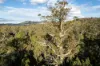 1167 Pelham Road, Hamilton, Tas 7140-Image