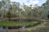 1167 Pelham Road, Hamilton, Tas 7140-Image