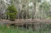 1167 Pelham Road, Hamilton, Tas 7140-Image