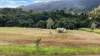 117-119 Catalano Access, Goldsborough, Qld 4865-Image