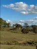 1175 Razorback Road, Mudgee, NSW 2850