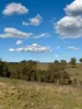 1175 Razorback Road, Mudgee, NSW 2850-Image