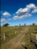 1175 Razorback Road, Mudgee, NSW 2850-Image