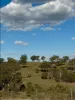 1175 Razorback Road, Mudgee, NSW 2850-Image