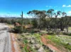 119 Coondle Drive, Coondle, WA 6566-Image