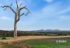 1195A Seymour-Pyalong Road, Glenaroua, Vic 3764-Image
