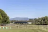 12 Allotment Parade, Westbury, Tas 7303-Image